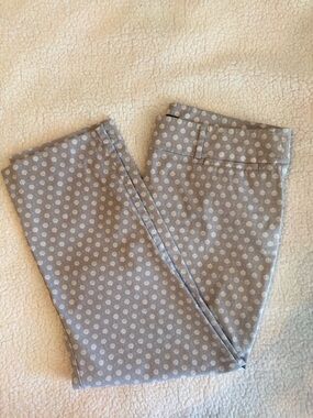 Ann Taylor Factory Crop Pants Size 12 Curvy